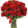 jenifer.gabor