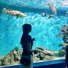 quynhnhu22_09