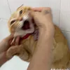 zznnhkgnaduik