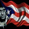 luisrodriguez27377