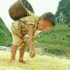 osmanelshareef8