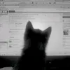 catlover69_6