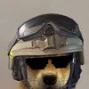 foldedlol