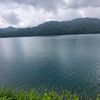 gulicka_217