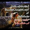 malik.tanoli20