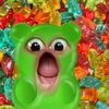 www.alkenz.com