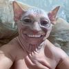 o_shamomega