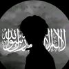 user8144446507813
