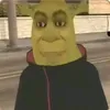 shrekoftheshrekiest