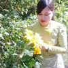 thwinthwin238