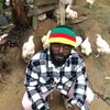 mctatatpoulet