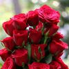 sahiltanha0787817807
