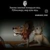 user.surush