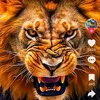 user184079801539