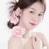 na_201098