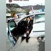 usermgil63z23x