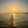 aurii.giannini