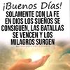rosa_325_79