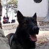 kral34067