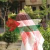 ahmed_ben_samir