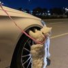 jad_30i