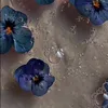 sirbrandz22