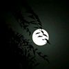 rawanhussien67