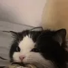 b_dee2
