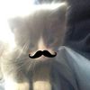 nailaa12875
