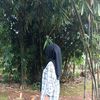 afifahfauziah_2