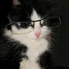 thisuserisdanwithyall