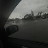 el_hanz15