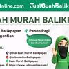 jualbuahbalikapapan