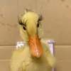 .sangcutii