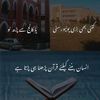 haroonsahu7866