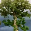 bouboufofana725