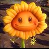 big.neegrow