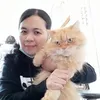 alfi4278