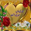 janmuhammad7665