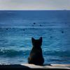 rehana_01