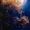 koko.ahmed327