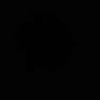 l4.vli