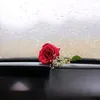 usertgipcq51bq