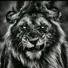 dexboy38