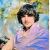 junaidgulli30