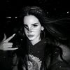 d.vann4