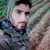 user5742393316201