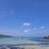 maissaayhem