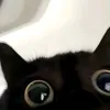 doloxaylah