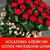 user6279013082600